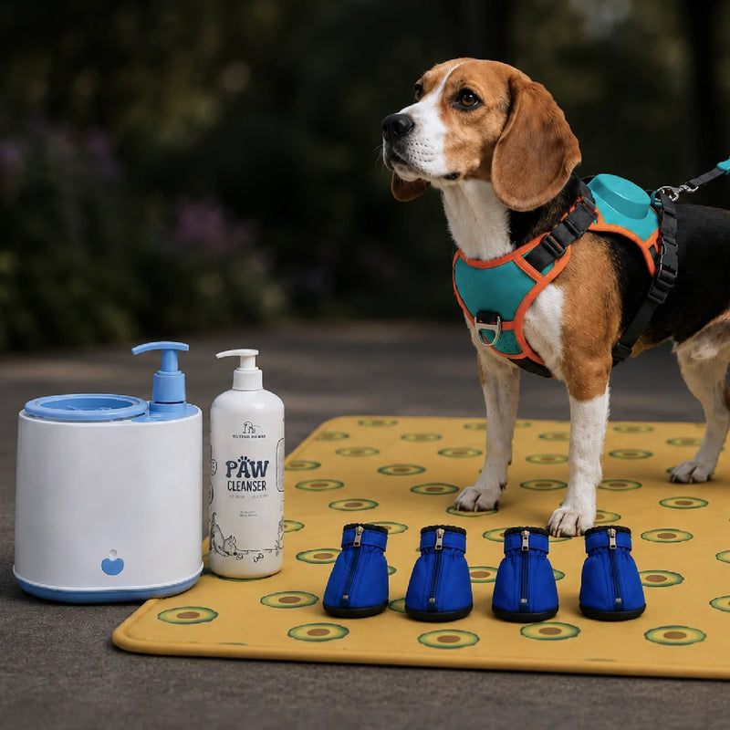 Bestsellers (Dogs)