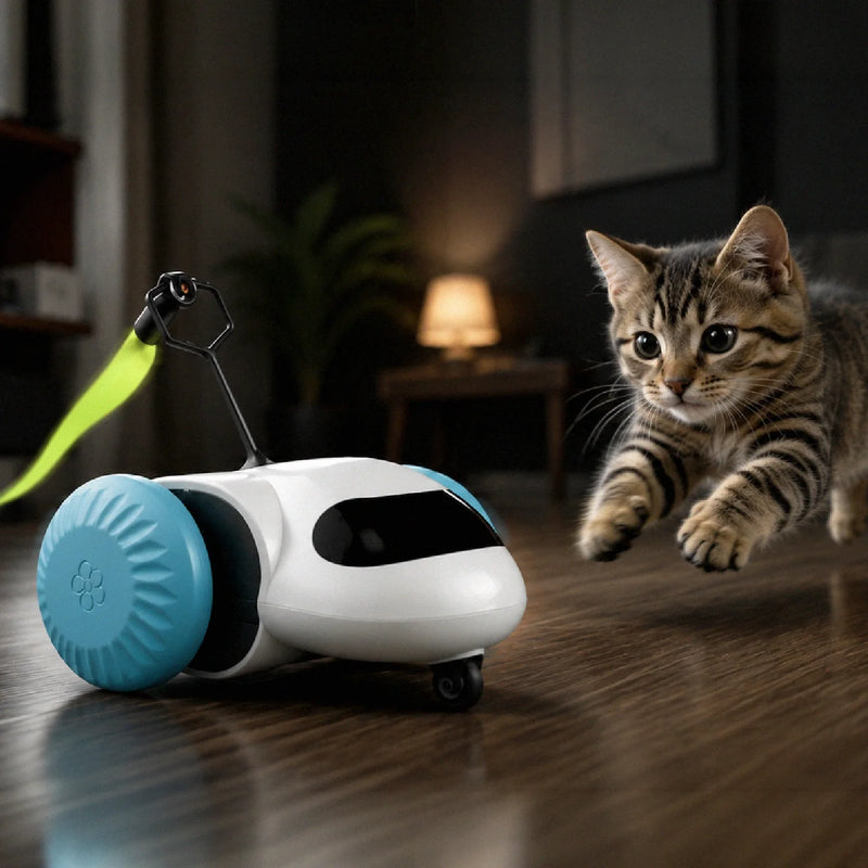 Play & Instinct | Cats