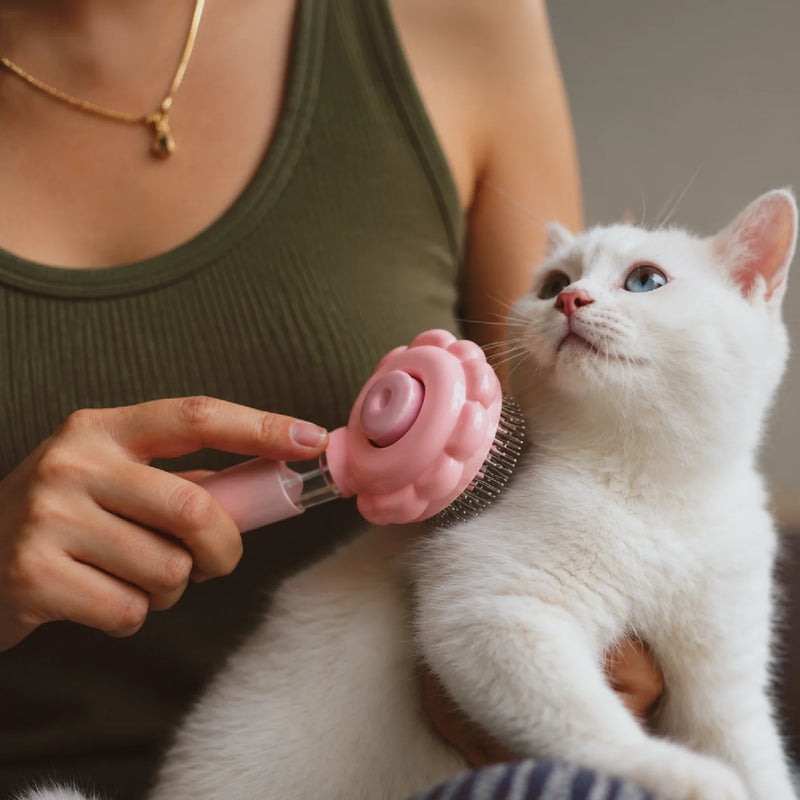 Groom & Care | Cats