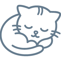 New Cat, Now What?