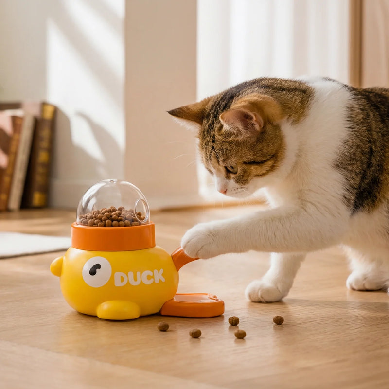 New This Week (Cats)
