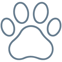 Paw Care (Cats)