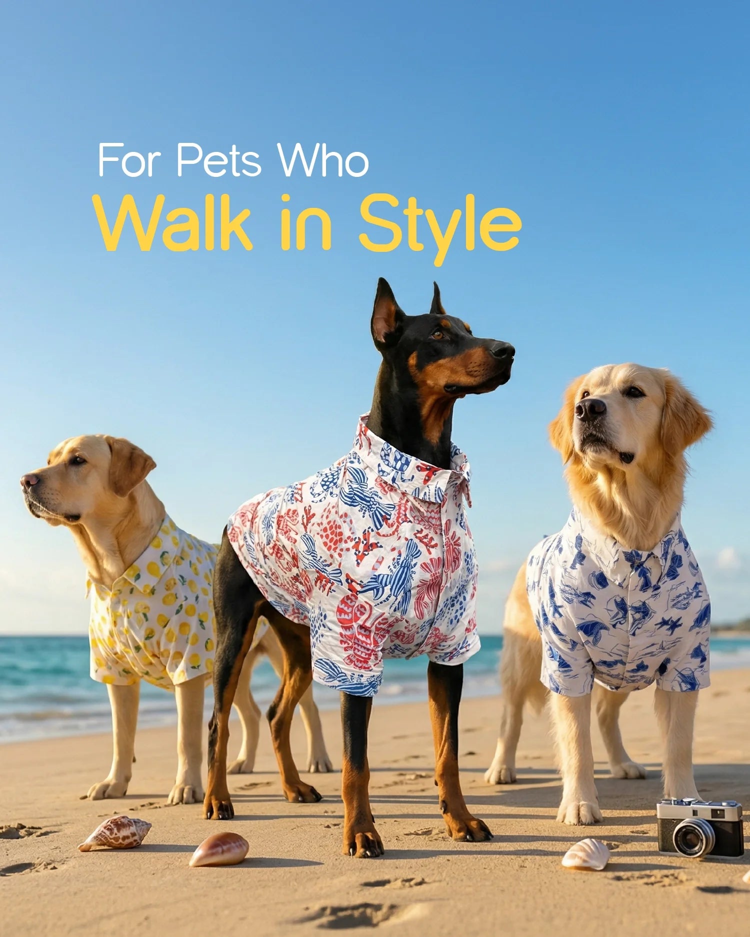 Pet Apparel