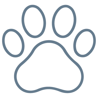 Paw Care (Dogs)