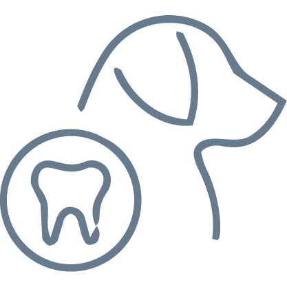 Teething (Dogs)