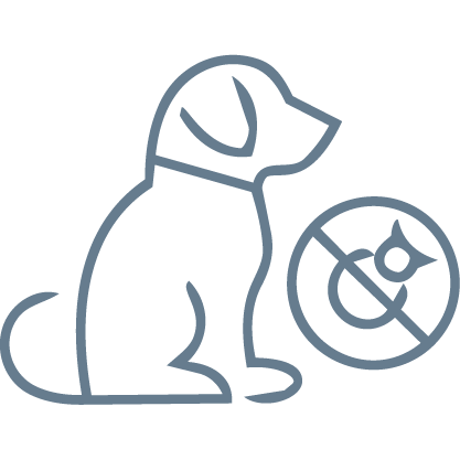 Tick & Flea Protection (Dogs)