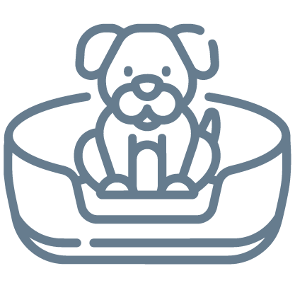 Better Sleep & Comfort (Dogs)