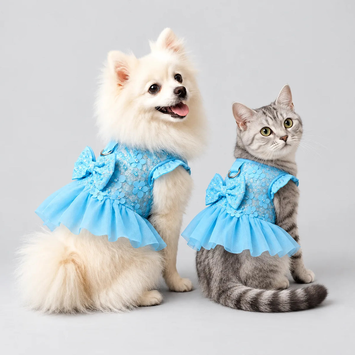 StarryBelle Dress