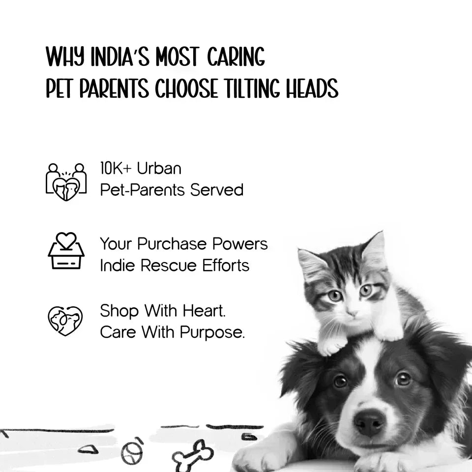 Goodies Container – Stylish Storage Jar for Pet Treats - Tilting Heads