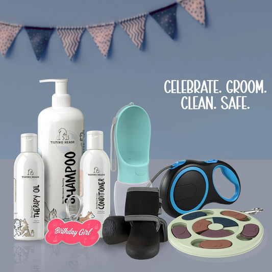 Ultimate Dog Birthday Kit – Grooming, Gear & Party-Ready Style