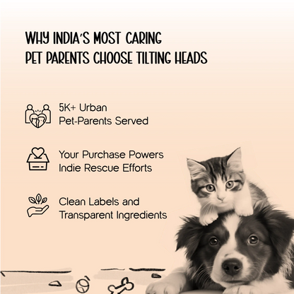 Snout Gaurd | Safe & Breathable Muzzle for Dogs