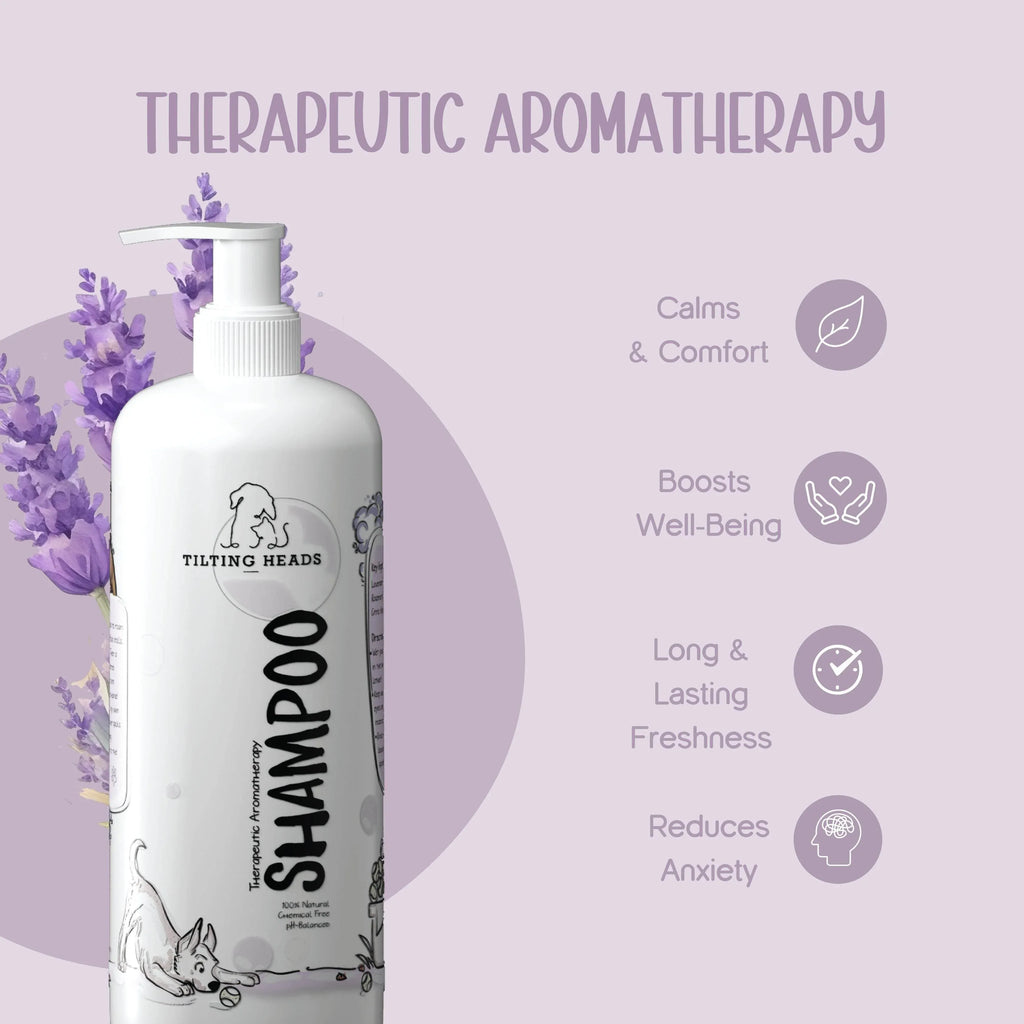 Complete Care Shampoo for Year Round Protection | Tilting Heads - Tilting Heads