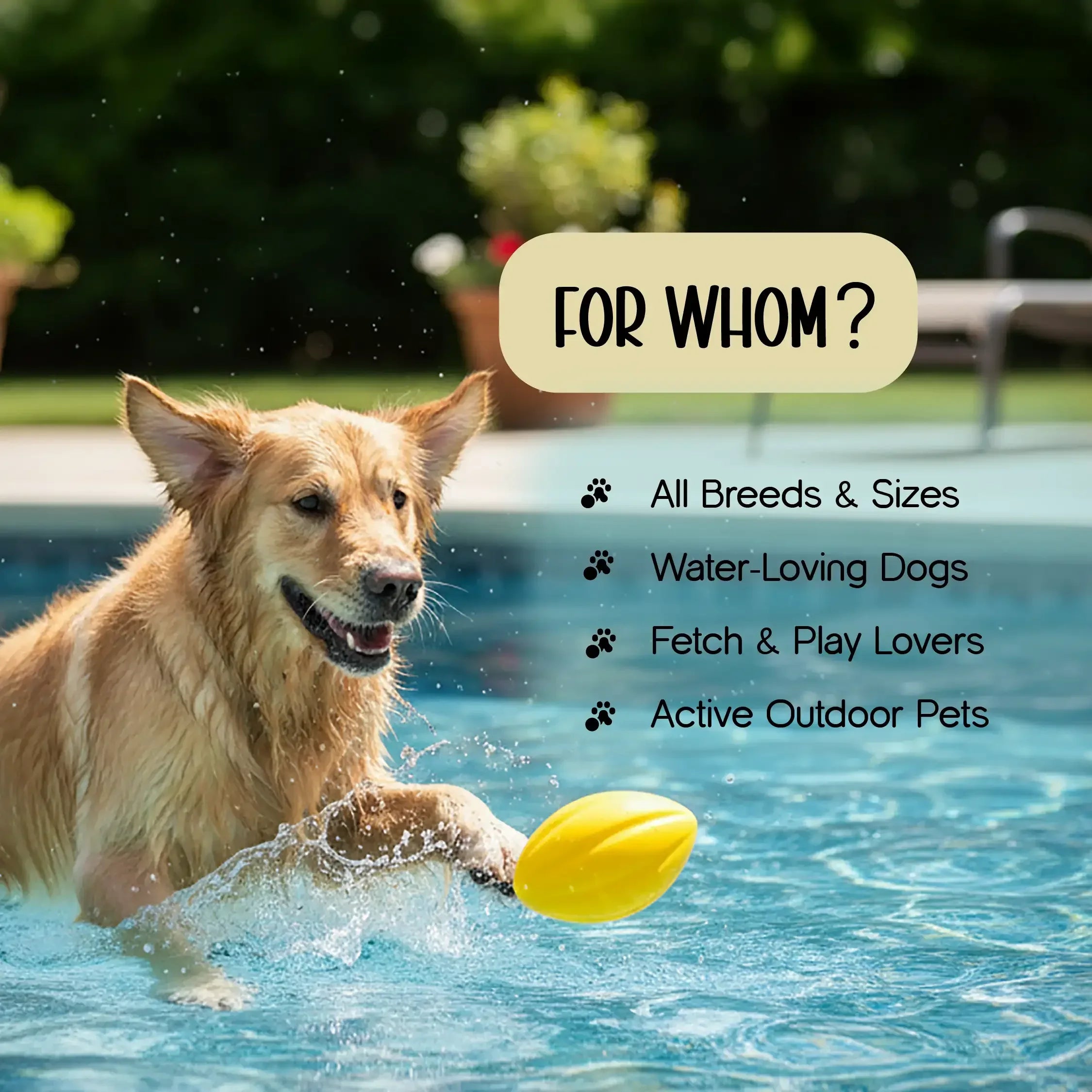 FloatFetch Toy | Swim, Fetch & Play – Safe Floating Fun for Active Pets - Tilting Heads