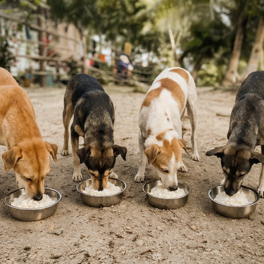 Neighbourhood Nourishment Package — ₹5,000