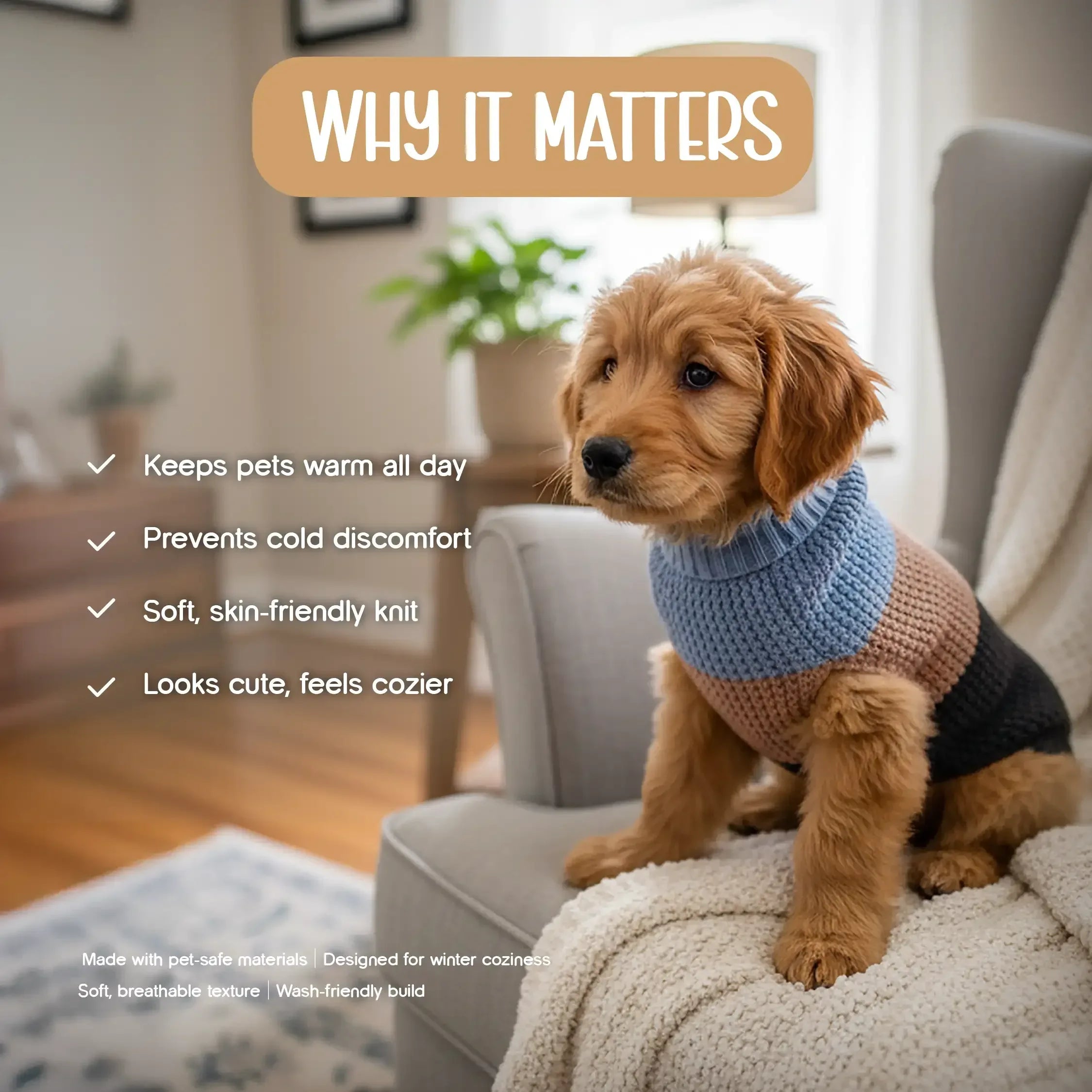 Cozee Knitwear – Soft, Warm & Stylish Winter Wear for Small Pets - Tilting Heads