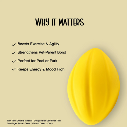 FloatFetch Toy | Swim, Fetch & Play – Safe Floating Fun for Active Pets