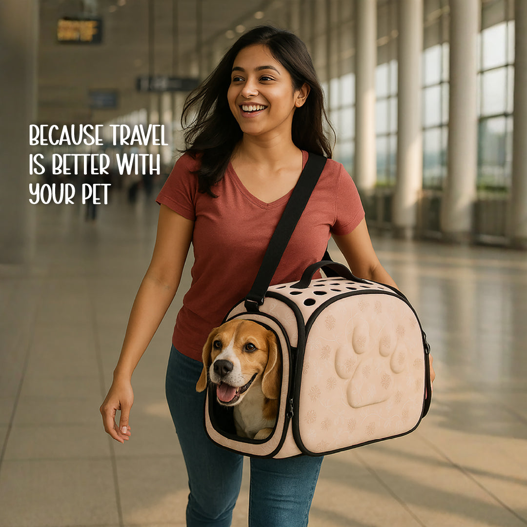 AeroPod | Luxury Pet Carrier Bag | Airline-Friendly Design