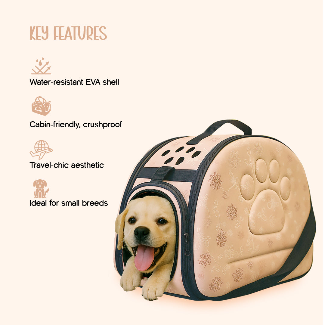 AeroPod | Luxury Pet Carrier Bag | Airline-Friendly Design