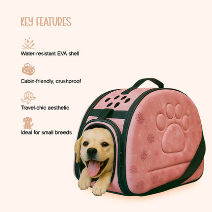 AeroPod | Luxury Pet Carrier Bag | Airline-Friendly Design