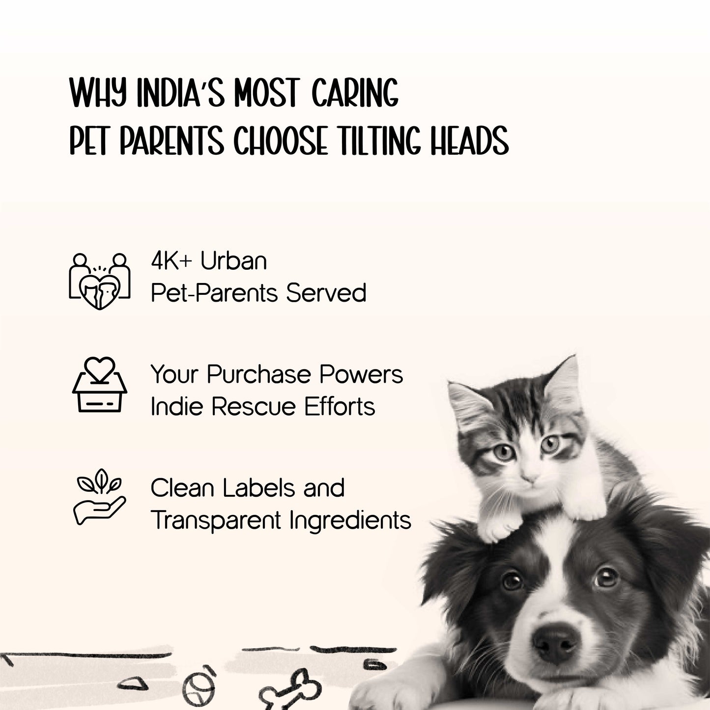 AeroPod | Luxury Pet Carrier Bag | Airline-Friendly Design