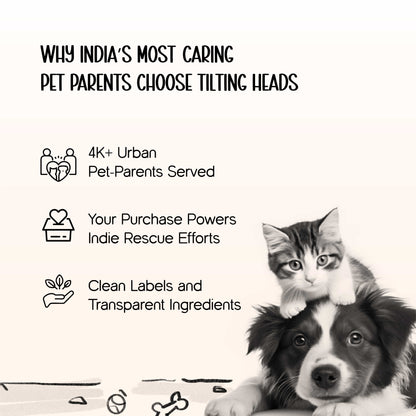 AeroPod | Luxury Pet Carrier Bag | Airline-Friendly Design