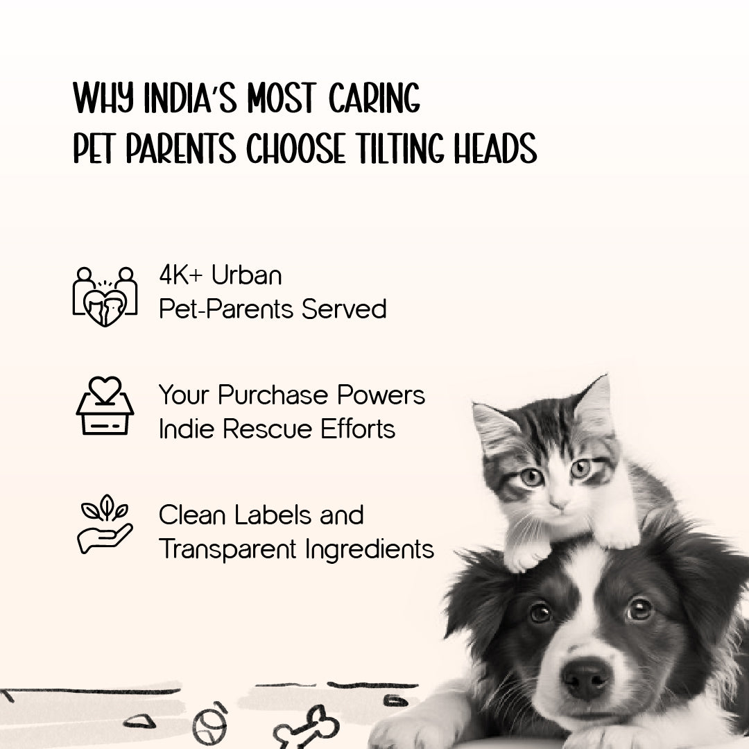 AeroPod | Luxury Pet Carrier Bag | Airline-Friendly Design