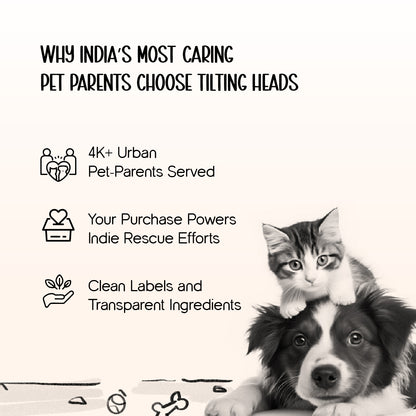 AeroPod | Luxury Pet Carrier Bag | Airline-Friendly Design