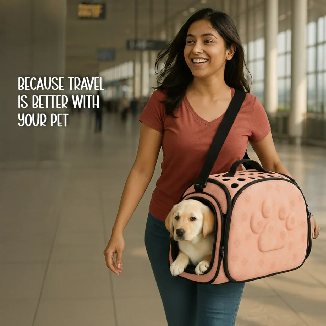 AeroPod | Luxury Pet Carrier Bag | Airline-Friendly Design - Tilting Heads