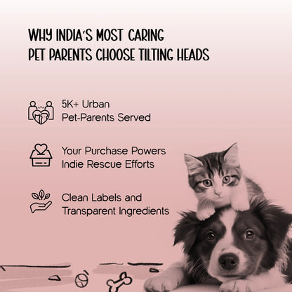 AirTrek Boots | Protective, Non-Slip Pawwear | All-Weather Comfort