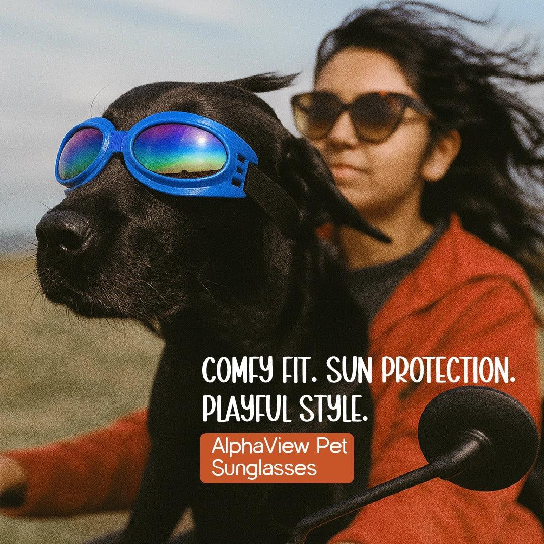 AlphaView Pet Shades – Cool, Comfy Eyewear for Stylish Outdoor Dogs - Tilting Heads