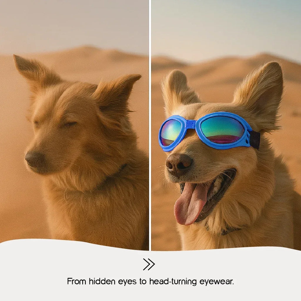AlphaView Pet Shades – Cool, Comfy Eyewear for Stylish Outdoor Dogs - Tilting Heads