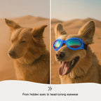 AlphaView Pet Shades – Cool, Comfy Eyewear for Stylish Outdoor Dogs - Tilting Heads