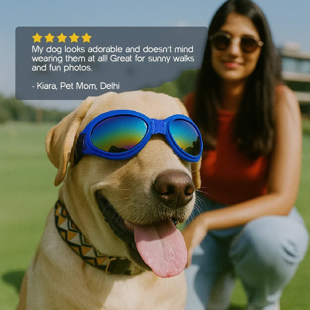 AlphaView Pet Shades – Cool, Comfy Eyewear for Stylish Outdoor Dogs - Tilting Heads