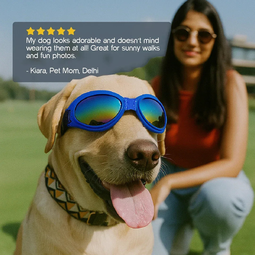 AlphaView Pet Shades – Cool, Comfy Eyewear for Stylish Outdoor Dogs - Tilting Heads