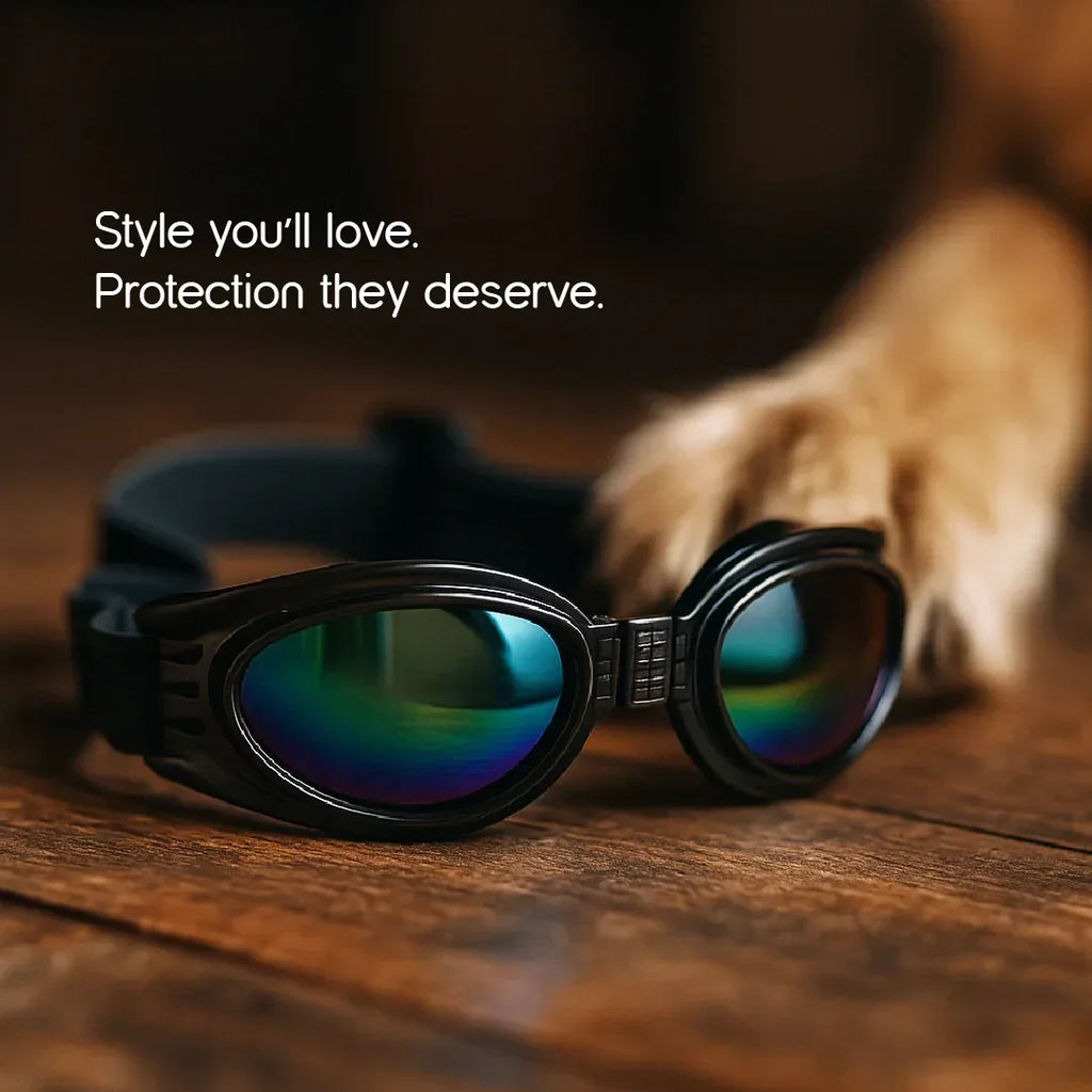 AlphaView Pet Shades – Cool, Comfy Eyewear for Stylish Outdoor Dogs - Tilting Heads