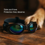 AlphaView Pet Shades – Cool, Comfy Eyewear for Stylish Outdoor Dogs - Tilting Heads