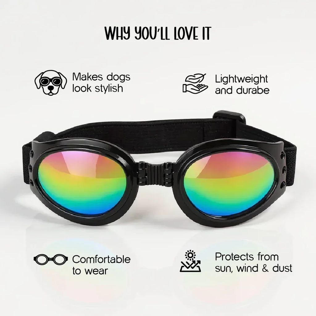 AlphaView Pet Shades – Cool, Comfy Eyewear for Stylish Outdoor Dogs - Tilting Heads