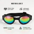 AlphaView Pet Shades – Cool, Comfy Eyewear for Stylish Outdoor Dogs - Tilting Heads