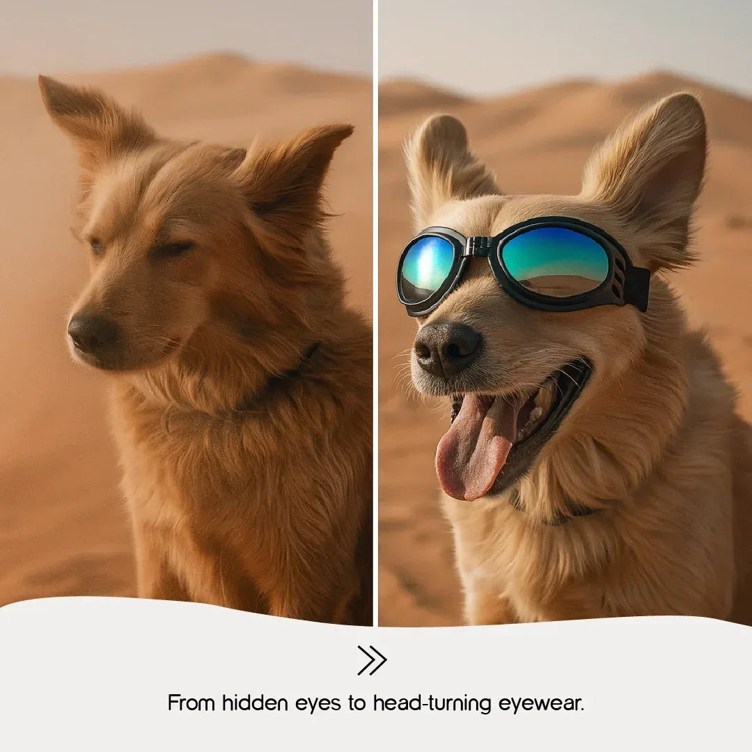 AlphaView Pet Shades – Cool, Comfy Eyewear for Stylish Outdoor Dogs - Tilting Heads