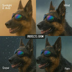 AlphaView Pet Shades – Cool, Comfy Eyewear for Stylish Outdoor Dogs - Tilting Heads