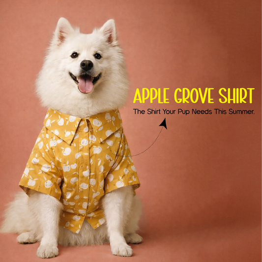 Apple Grove Shirt – Stylish Cotton Outfit for Summer