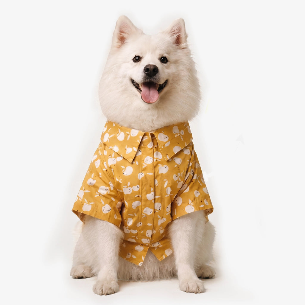 Apple Grove Shirt