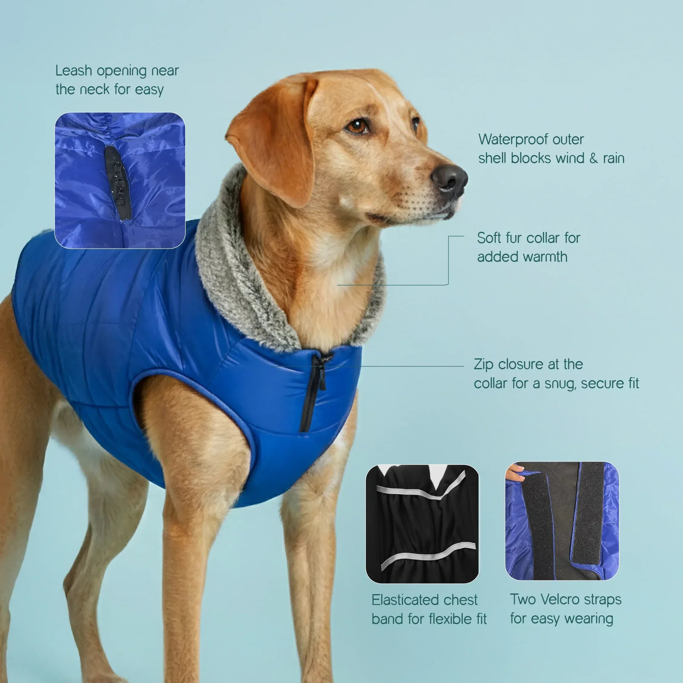 ArcticFunk Jacket – Windproof, Cosy & Everyday Winter Wear for Pets - Tilting Heads