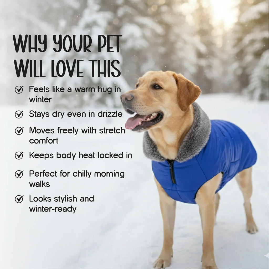 ArcticFunk Jacket – Windproof, Cosy & Everyday Winter Wear for Pets - Tilting Heads
