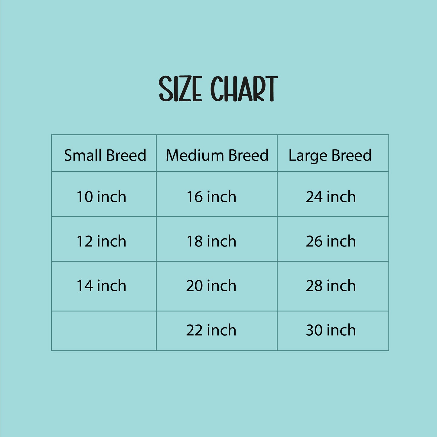 ArcticFunk Jacket – Windproof, Cosy & Everyday Winter Wear for Pets