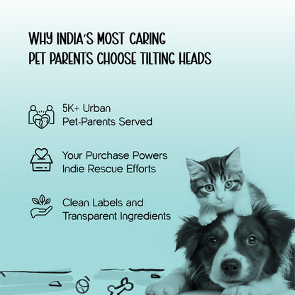 ArcticFunk Jacket – Windproof, Cosy & Everyday Winter Wear for Pets