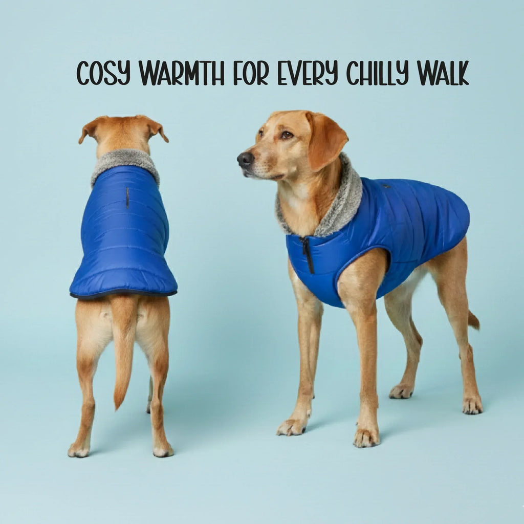 ArcticFunk Jacket – Windproof, Cosy & Everyday Winter Wear for Pets - Tilting Heads