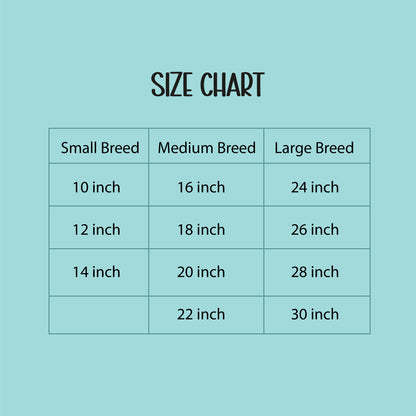 ArcticFunk Jacket – Windproof, Cosy & Everyday Winter Wear for Pets