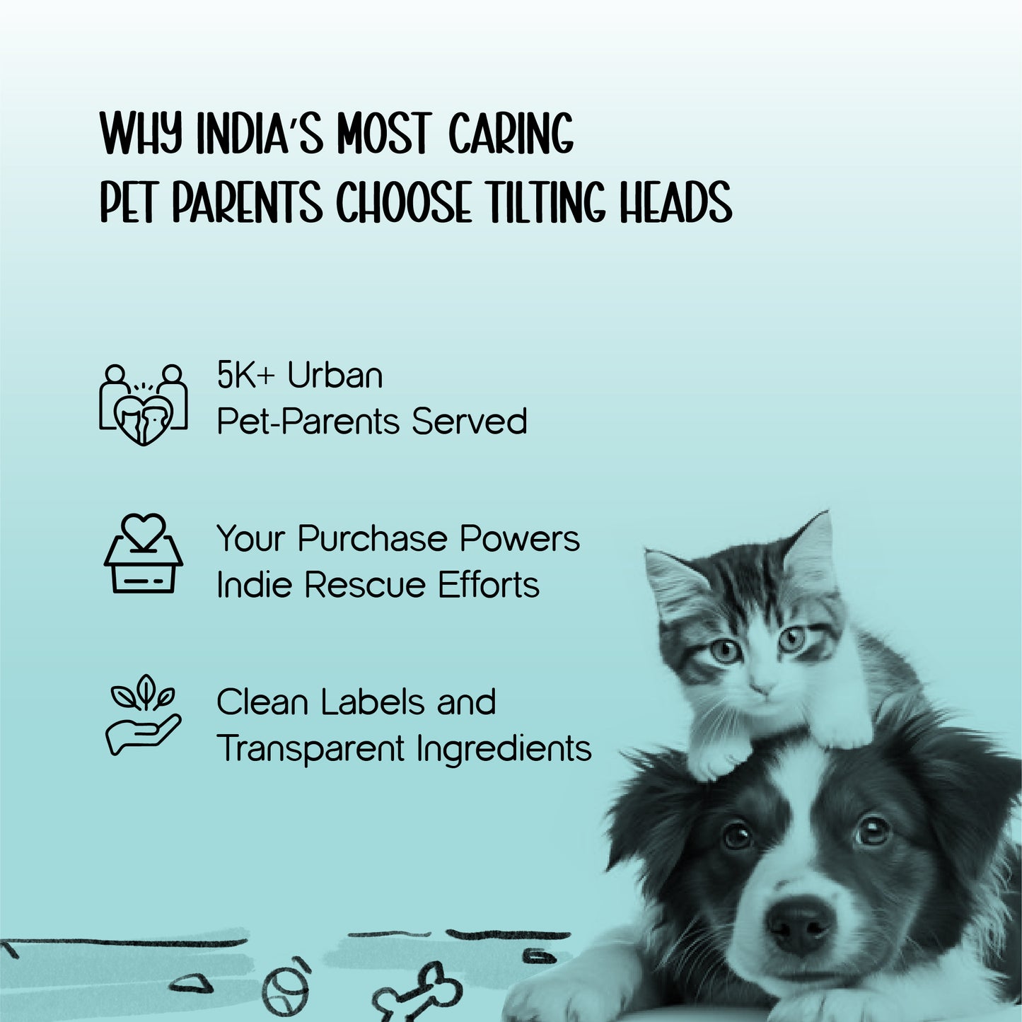 ArcticFunk Jacket – Windproof, Cosy & Everyday Winter Wear for Pets