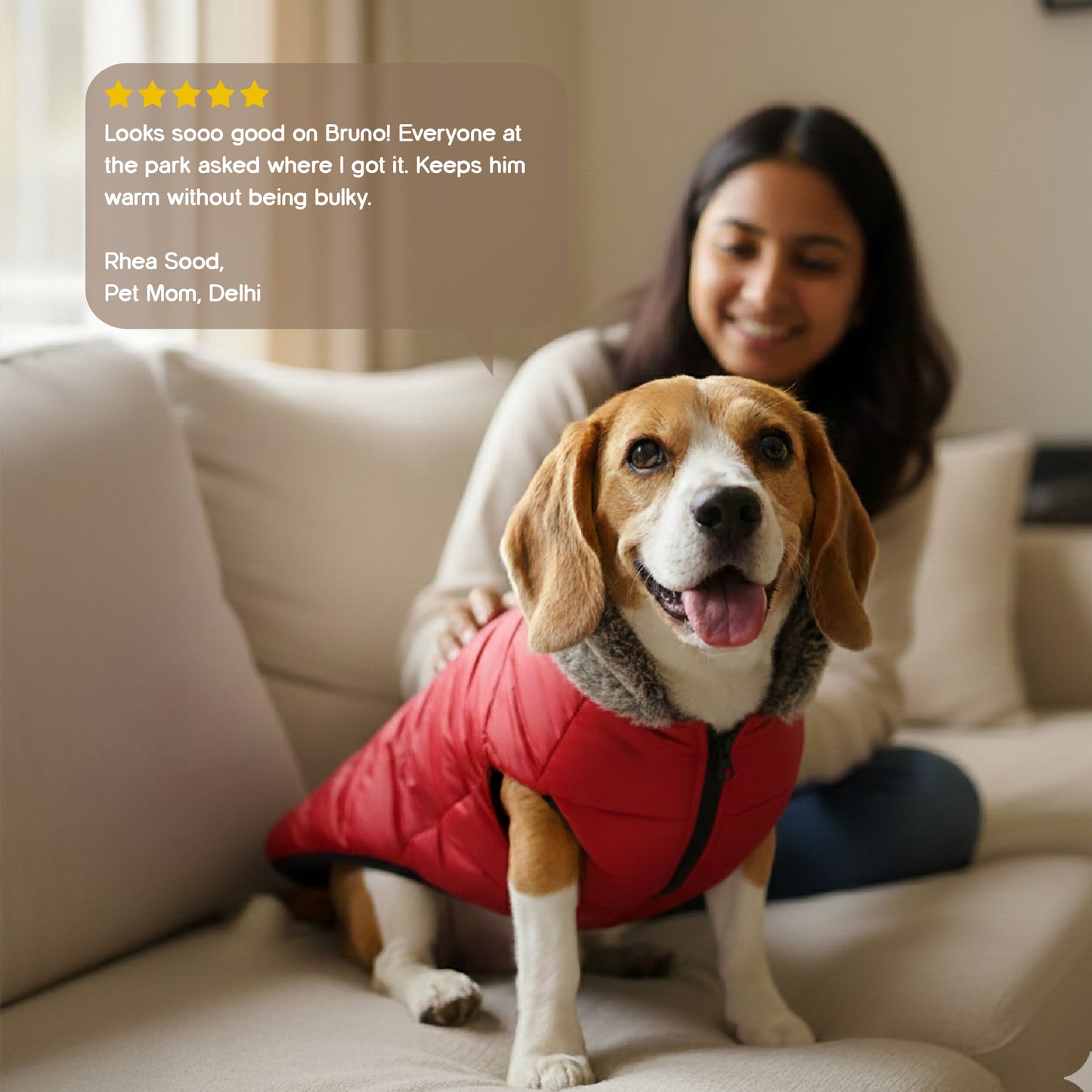 ArcticFunk Jacket – Windproof, Cosy & Everyday Winter Wear for Pets